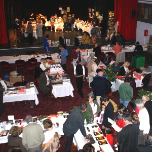 Salle du Théâtre, salon du livre 2013