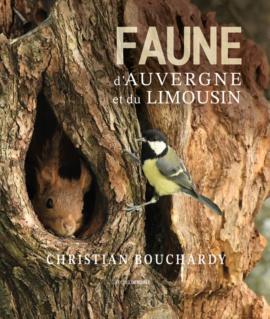 Faune d'Auvergne et du Limousin, documentaire photo de Christian Bouchardy, présent le samedi 3 et dimanche 4 octobre au 13ème Salon du Livre de Royat-Chamalières (2026)